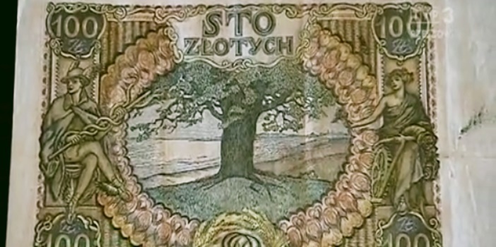 «Європейське дерево року» росте у Польщі