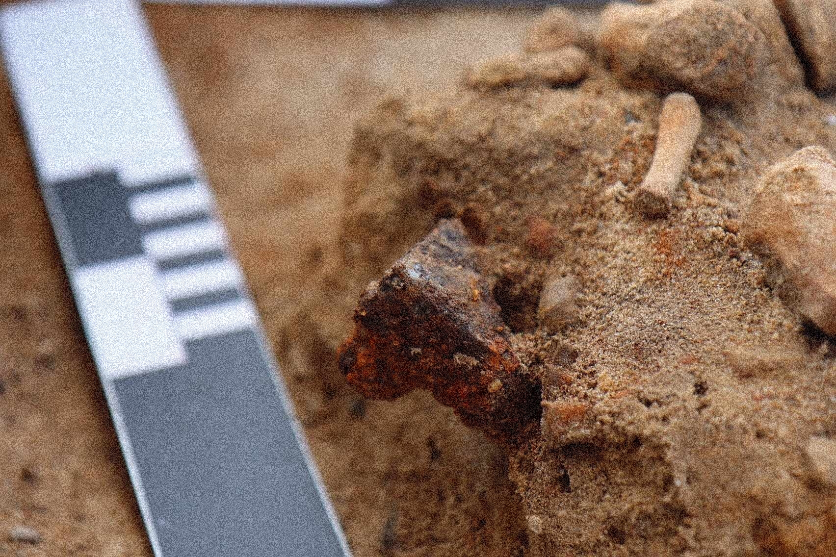 Поховання дитини-”вампіра”: нові знахідки польських археологів у містечку Пєнь поблизу Бидгоща