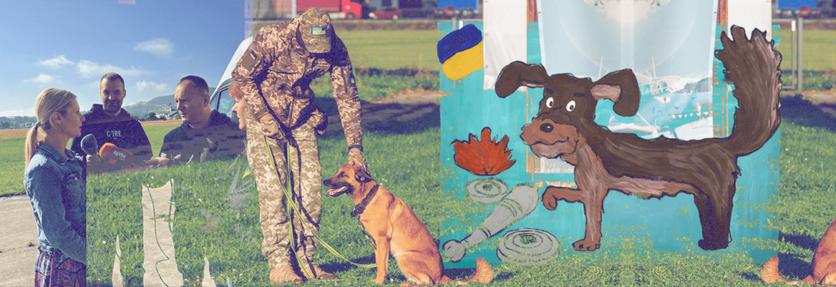 ЄС передав Україні ще 12 собак-розміновувачів. Передача тварин відбулась у Польщі
