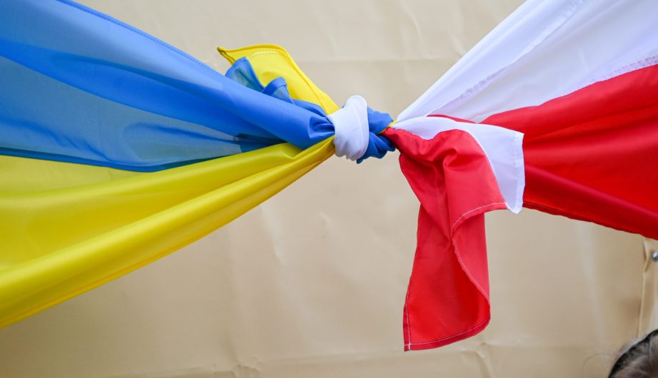 Українські історики виступили проти намірів польських політиків прирівняти УПА й ОУН(б) до тоталітарних режимів