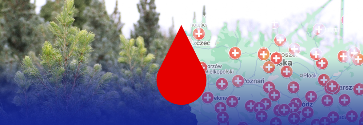 У Польщі пройде акція, в рамах якої донори крові зможуть безплатно отримати живу ялинку