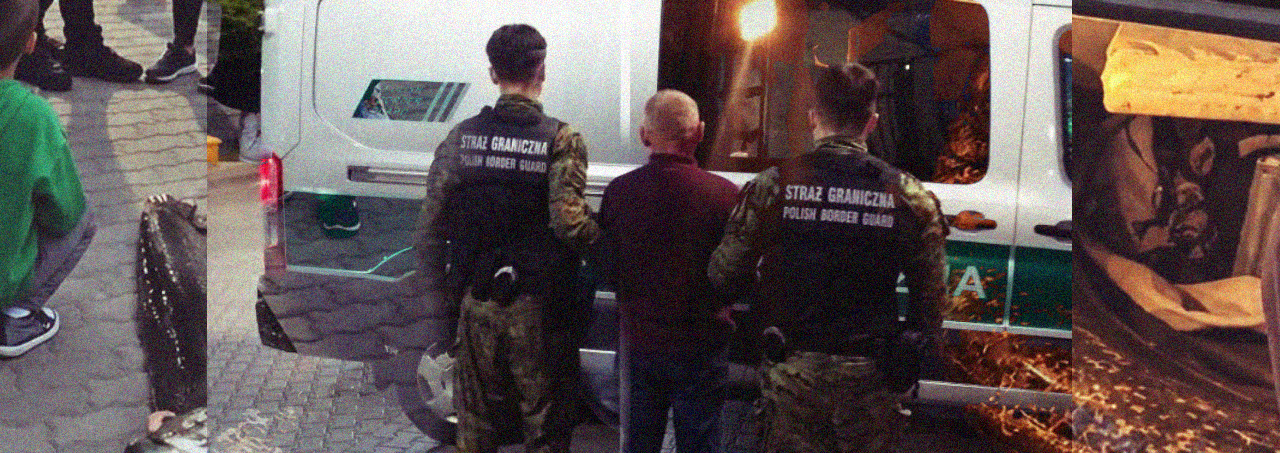 У Польщі депортували українця, який виловив із варшавського озера сома-довгожителя